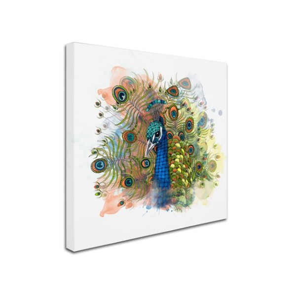 The Tangled Peacock 'Percival The Peacock' Canvas Art,14x14